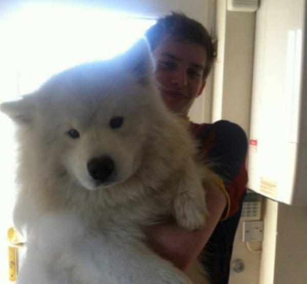 Are dog whistles dangerous for puppies? HUMANEDOG