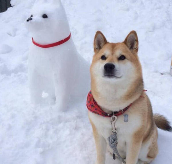 How long should puppies be left alone? MISCHIEVOUSDOG